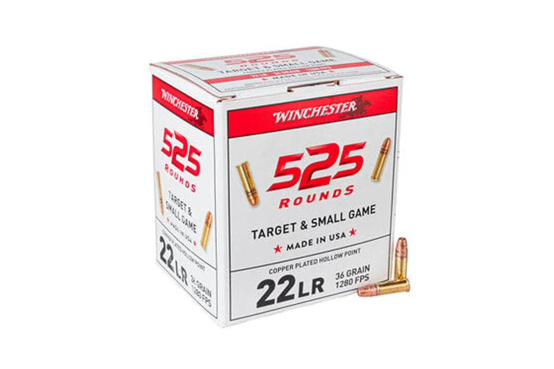 ar15discounts2026100718000356513