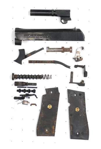 everygunpart2026100712103418181