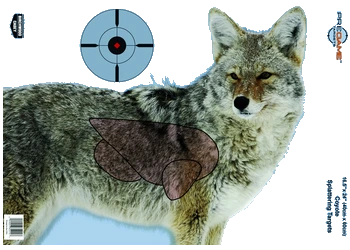 herogunshop-120261013095220241757