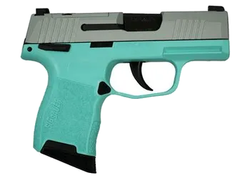 herogunshop-120261013132154276927